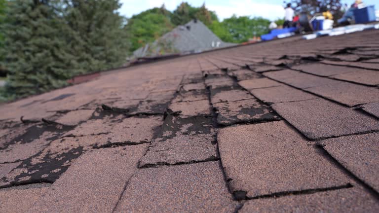 Best Cold Roofs  in Kaneohe, HI