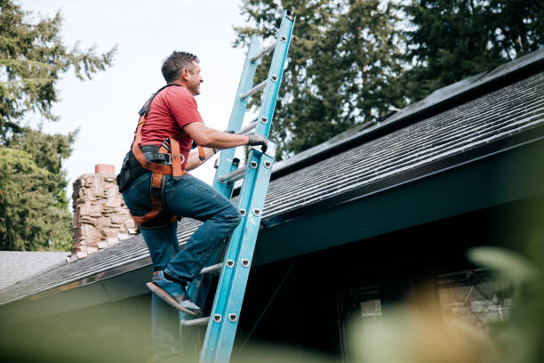Best Roof Maintenance and Cleaning  in Kaneohe, HI