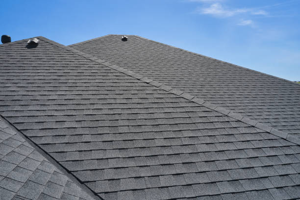 Best Chimney Flashing Repair  in Kaneohe, HI